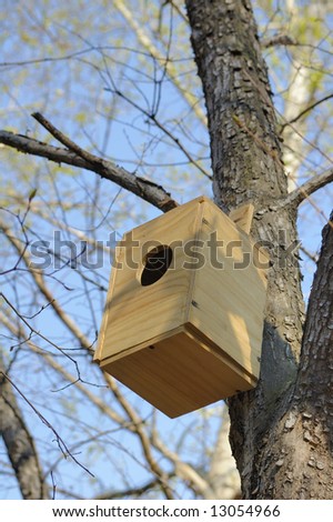 Birds house made from plywood on the tree
