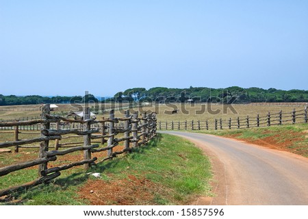 View on the rural road going to the Mediterranean sea enclosed with wooden fence