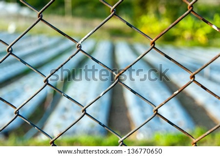 Fence in front of the garden