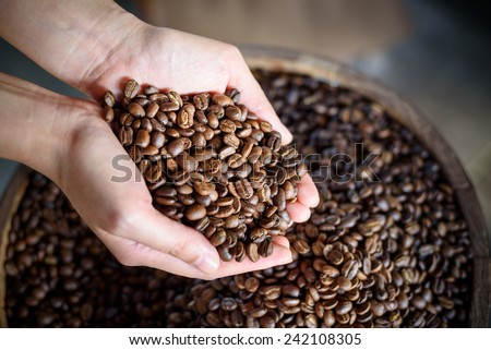 roasted coffee beans pouring out of cupped hands