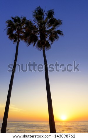 Palm trees silhouetted at sunset in La Jolla, California.