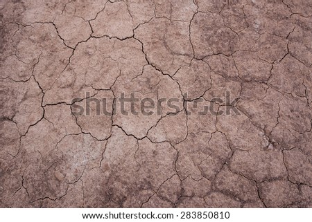 Cracked red soil texture