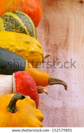 Frame of Various Miniature Pumpkin, Squash and Marrow closeup on Wooden background