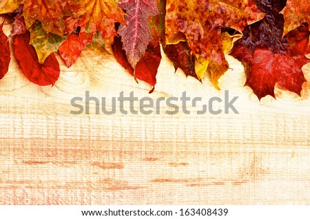 Arrangement of Wet Yellowed Autumn Leafs on Rustic Wooden background as Frame