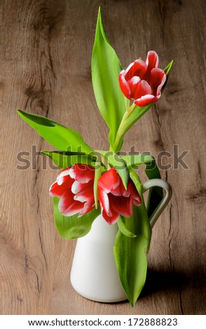 Red-White Tulips in White Ceramic Vase closeup on Rustic Wooden background