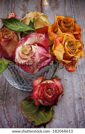 Bunch of Colorful Withered Roses in Glass Vase isolated on Rustic Wooden background