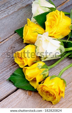 Bunch of Beauty Yellow and White Roses with Leafs isolated on Rustic Wooden background