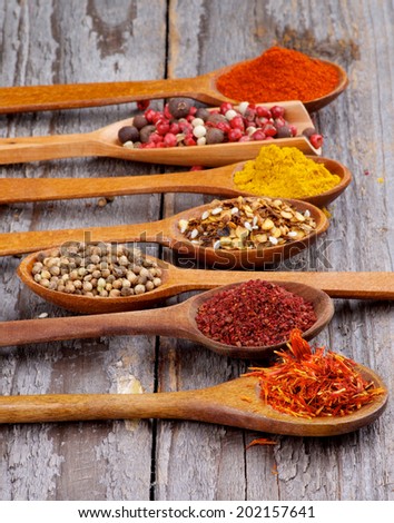 Wooden Spoons with Saffron, Sumac, Coriander, Dried Chili, Curry Powder, Paprika and Mixed Pepper In a Row on Rustic Wooden background