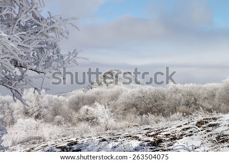 Mount Beshtau Ridges and Hills with Snowy Trees and  Frozen Snowy Tree Branches on Blue Cloudy Sky background Outdoors