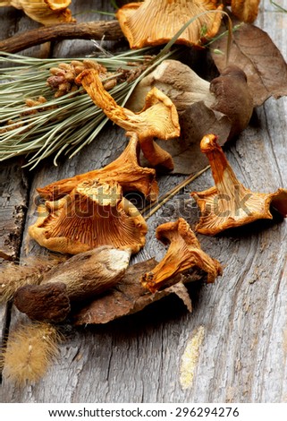 Heap of Dried Forest Chanterelles, Porcini and Boletus Mushrooms with Dry Grass and Leafs closeup in Rustic Wooden background