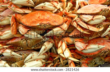 crabs on sale at a local market in san francisco