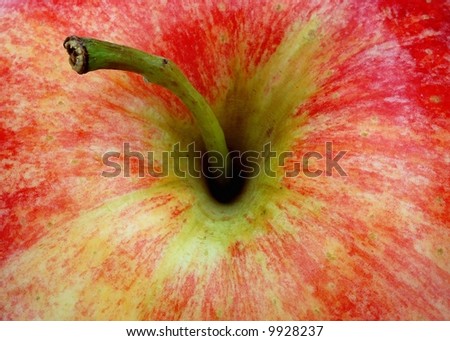 Macro of an apple with stem