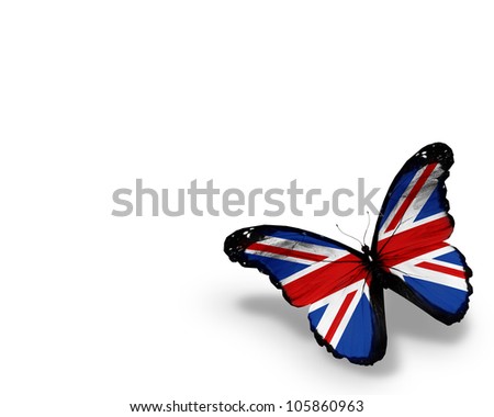 stock photo : English flag butterfly, isolated on white background