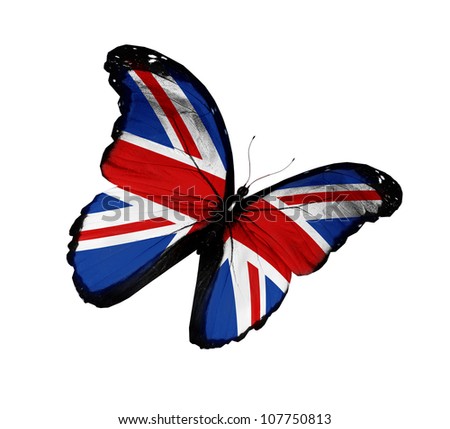 butterfly flying clipart