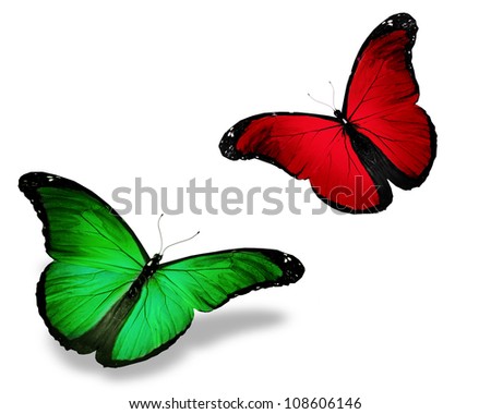 Two red green butterfly, isolated on white