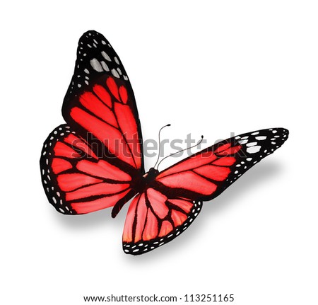 Red butterfly, isolated on white background