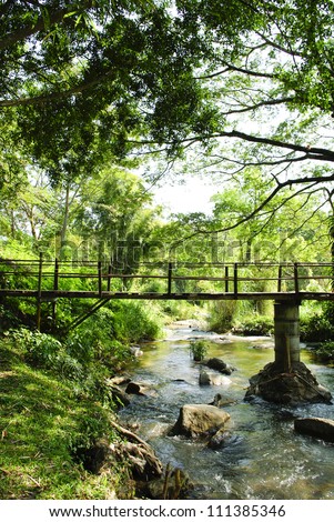 Bridges, bamboo, tropical rain forests,Thailand