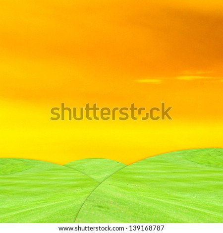 Green grass with twilight sky