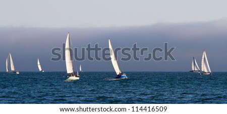 Sailboats on the Pacific ocean; Santa Cruz, California, USA