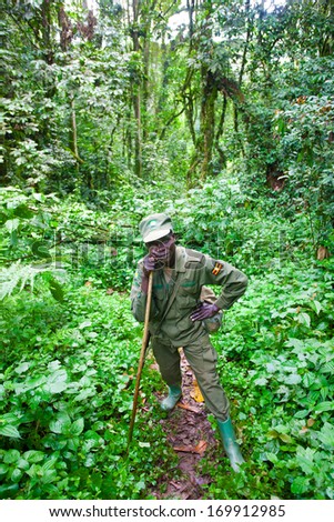 BWINDI, UGANDA - OCTOBER 22: Unidentified national park ranger on October 22, 2012 in the Bwindi National Park, Uganda. The Bwindi National Park is the most famous tourist attraction in Uganda.
