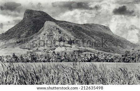 Vintage style black and white image of the Lion mountain with sugar cane field foreground on the beautiful tropical paradise island, Mauritius
