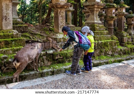 NARA, JAPAN - MARCH 28: Visitors feeding wild deer on March 28, 2014 in Nara, Japan. Nara is a major tourism destination in Japan, it is the former capital, and currently a UNESCO World Heritage Site.