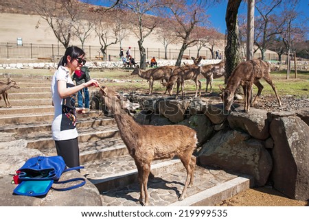 NARA, JAPAN - MARCH 28: Visitor feeding wild deer on March 28, 2014 in Nara, Japan. Nara is a major tourism destination in Japan, it is the former capital, and currently a UNESCO World Heritage Site.