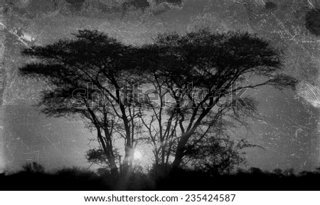 Vintage style image of African sunrise in the Kruger National Park, South Africa