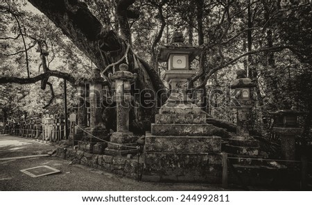 Vintage style black and white image of stone lanterns at the Kasuga Taisha Shrine in Nara, Japan. Kasuga Shrine and the Kasugayama Primeval Forest are registered as a UNESCO World Heritage Site.