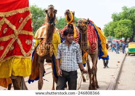 DELHI - APR 16: Unidentified Indian man with his camels on April 16, 2011 in Delhi, India. Delhi is the largest urban agglomeration in India. It is also the 4th most populous city on the planet.