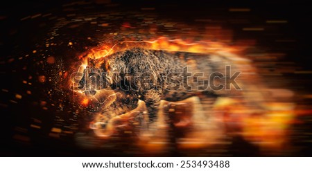 African lion illustration with fire