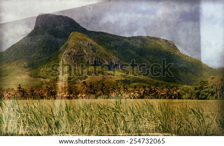 Vintage style image of the Lion mountain with sugar cane field foreground on the beautiful tropical paradise island, Mauritius