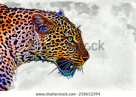 African leopard illustration