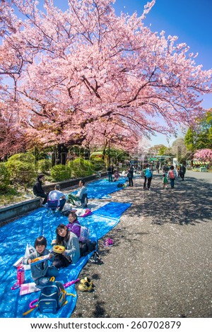 TOKYO, JAPAN - APRIL 4: Cherry blossoms festival in Ueno Park on April 4, 2014 in Tokyo, Japan. Viewing cherry blossom is a Japanese custom. Ueno Park was Japan\'s first public park, opened in 1873.