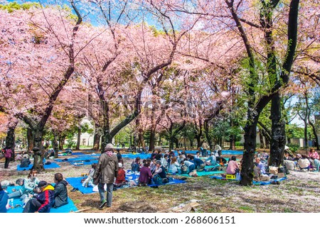 TOKYO, JAPAN - APRIL 4: Cherry blossoms festival in Ueno Park on April 4, 2014 in Tokyo, Japan. Viewing cherry blossom is a Japanese custom. Ueno Park was Japan\'s first public park, opened in 1873.