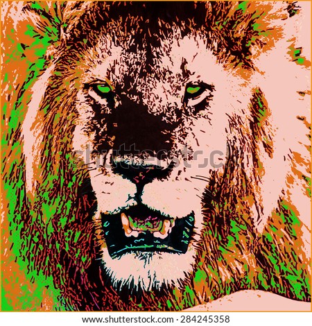 African lion illustration