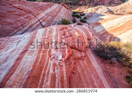 Red landscape of the Nevada desert at Valley of Fire State Park, USA. Valley of Fire State Park is the oldest state park in Nevada, USA and was designated as a National Natural Landmark in 1968.