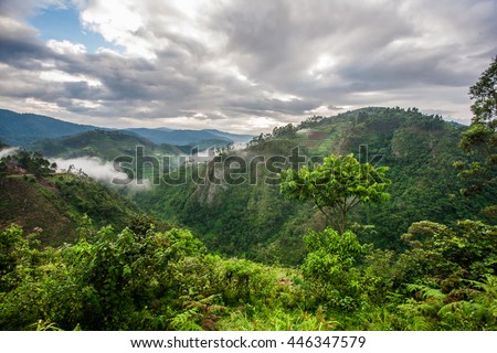 Beautiful landscape in southwestern Uganda, at the Bwindi Impenetrable Forest National Park, at the borders of Uganda, Congo and Rwanda. The Bwindi National Park is the home of the mountain gorillas.