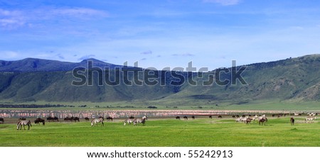 Zebras beside the lake in the Ngorongoro Crater, Tanzania, flamingos in the background