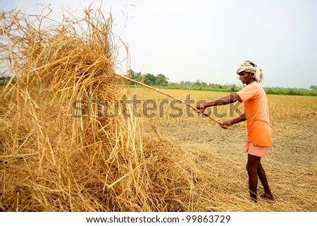 RAXAUL - OCT 20: Unidentified Indian man working on the field on October 20, 2011 in Raxaul, India. India ranks second worldwide in farm output. Agriculture employs 52.1% of the total workforce.