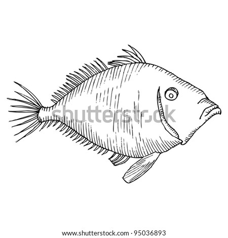 stock vector fish drawing black and white
