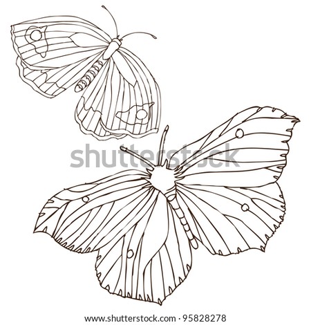 side butterfly drawings