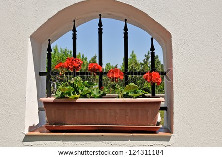 red geranium on a window ledge