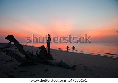 two photographers on the beach at sunrise - national park saadani in africa