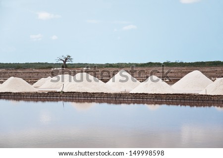 sea salt - traditional production from ocean water - national park saadani in tanzania