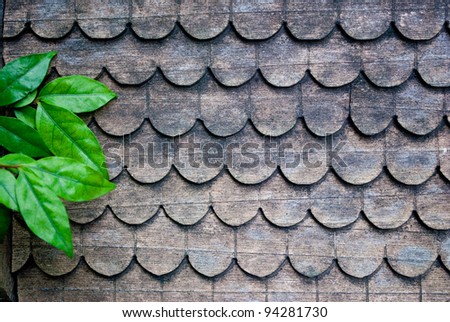 Green leaf on  old wooden roof