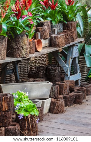 Arrangement of garden plants and tools in a greenhouse on a wooden table