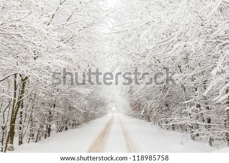 Winter landscape with road under a bow of snow covered trees