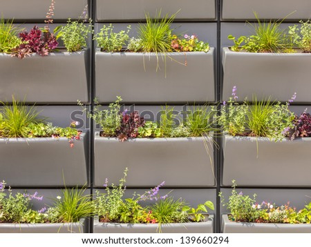 Wall with rows of plastic baskets filled with plants used for insulation of modern houses and offices