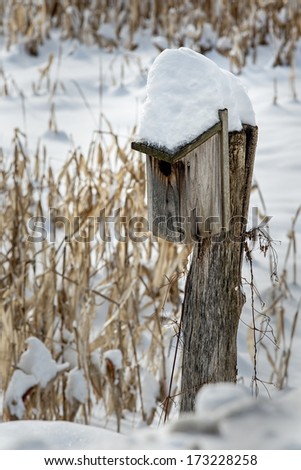 A lone bird house stands in fresh fallen snow near Rotterdam, New York.